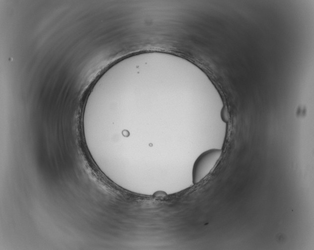 X0000114610098200911171044