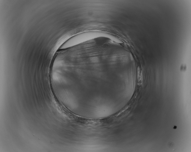 X0000114610099200911171044