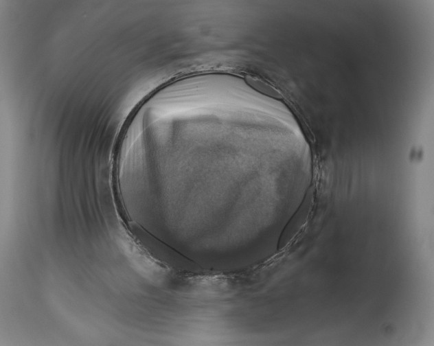 X0000114610100200911171044