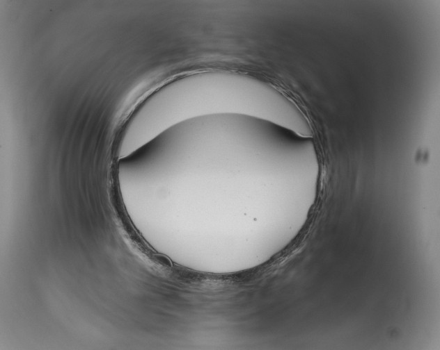 X0000114610101200911171044