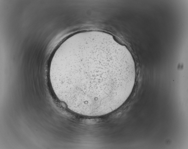 X0000114610103200911171044