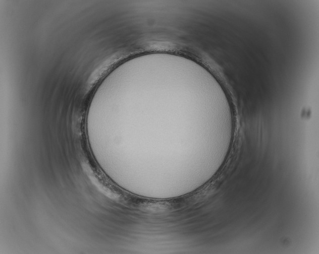 X0000114610106200911171044