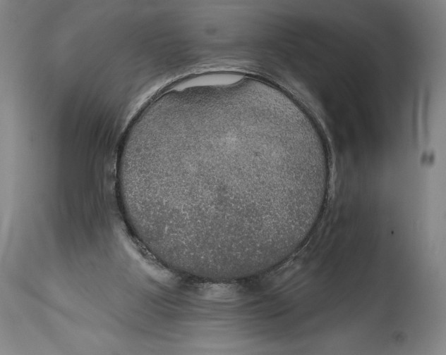 X0000114610107200911171044