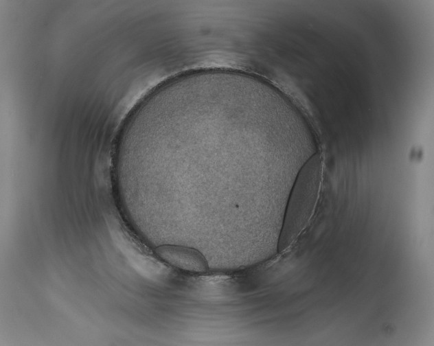 X0000114610108200911171044