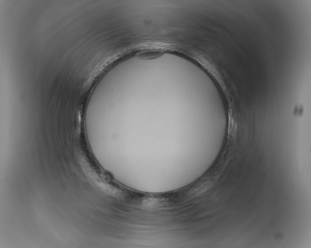 X0000114610109200911171044