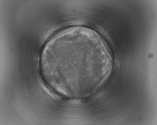 X0000114610110200911171044