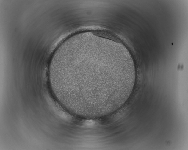 X0000114610111200911171044