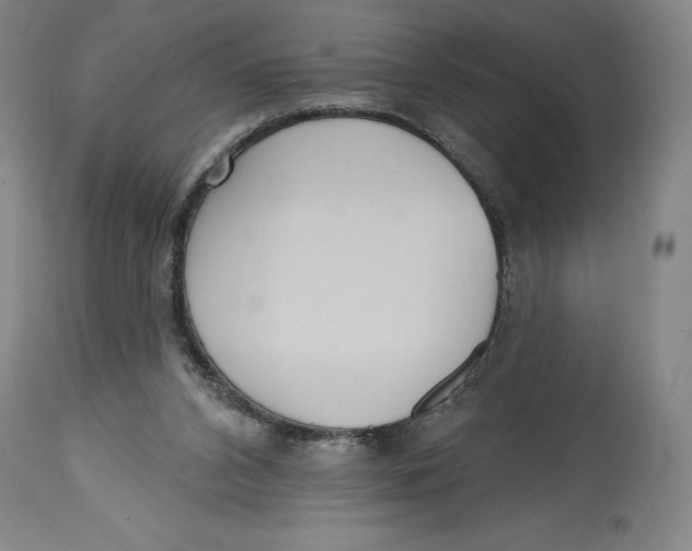 X0000114610112200911171044