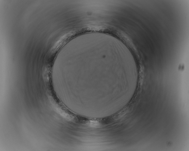 X0000114610114200911171044