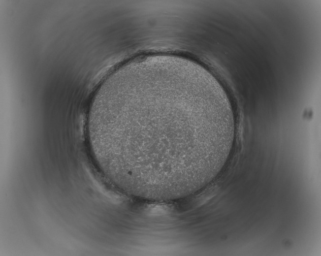 X0000114610115200911171044