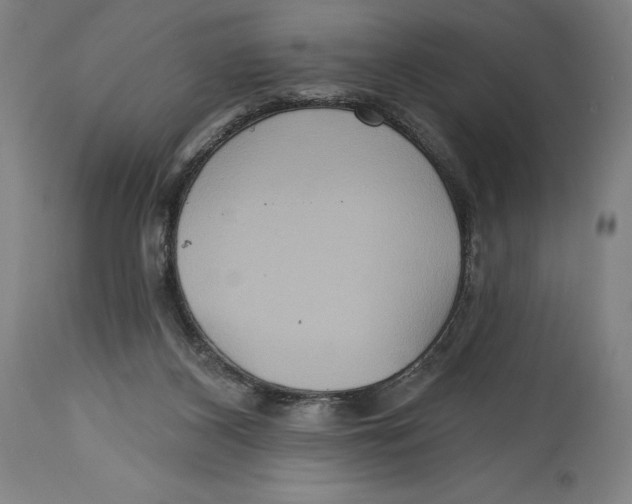 X0000114610116200911171044