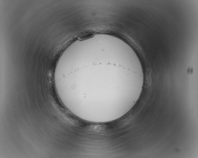 X0000114610117200911171044