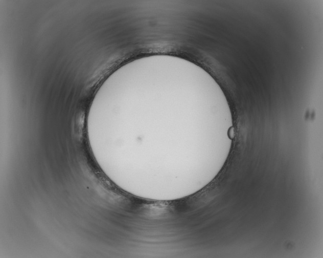 X0000114610118200911171044