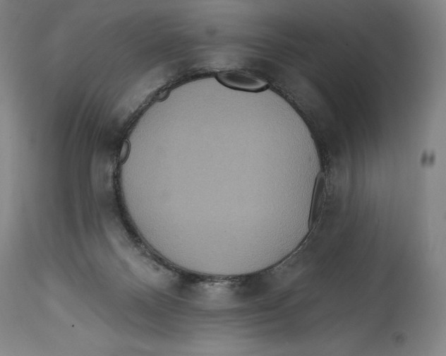 X0000114610120200911171044