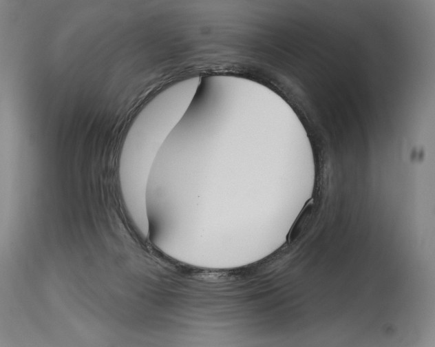 X0000114610121200911171044