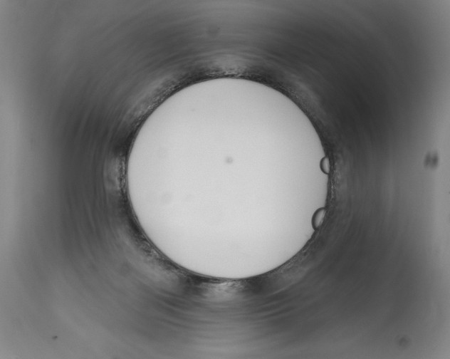 X0000114610122200911171044