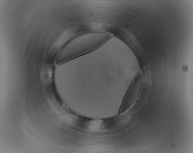 X0000114610124200911171044