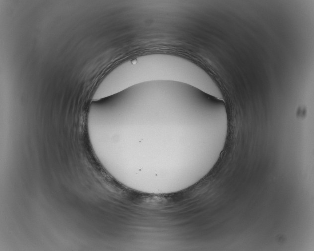 X0000114610125200911171044