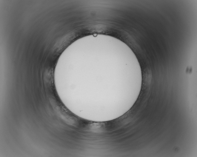 X0000114610126200911171044