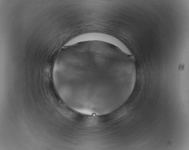 X0000114610127200911171044