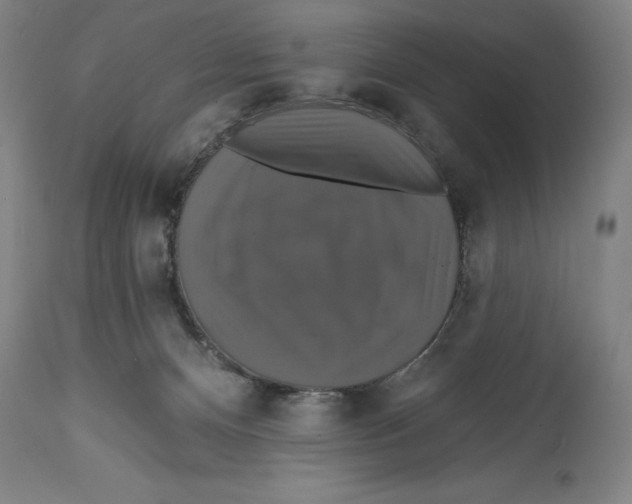 X0000114610128200911171043