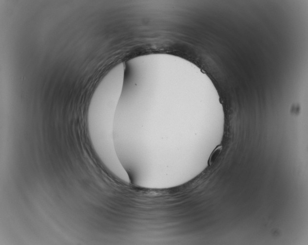 X0000114610129200911171043