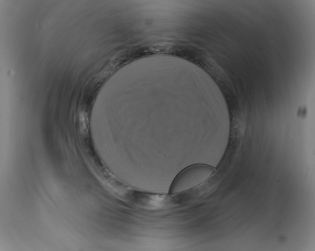 X0000114610130200911171043