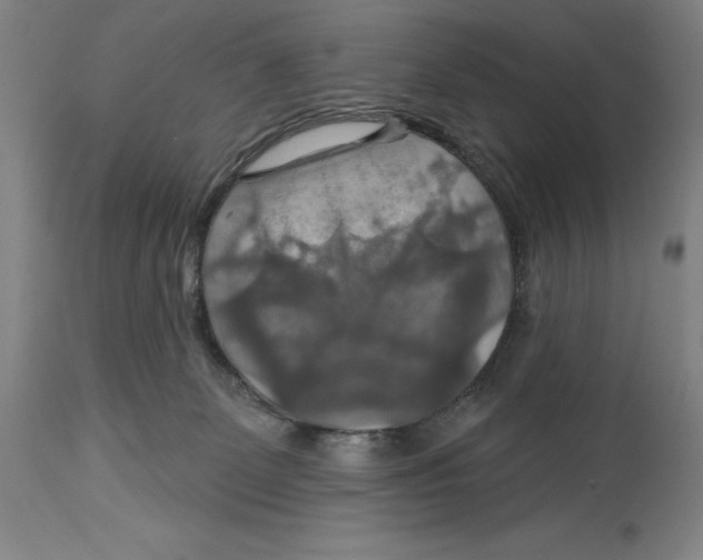 X0000114610131200911171043