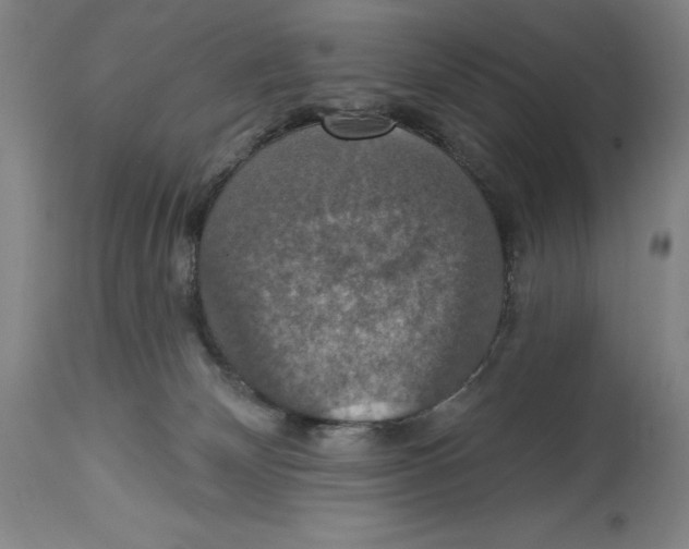 X0000114610132200911171043