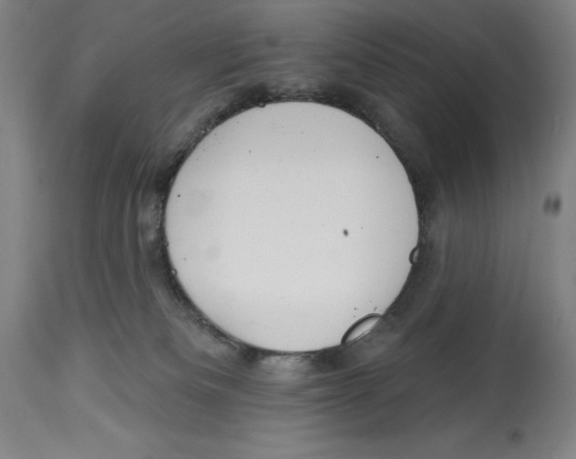 X0000114610133200911171043