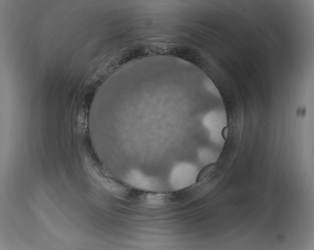 X0000114610134200911171043