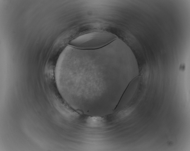 X0000114610137200911171043