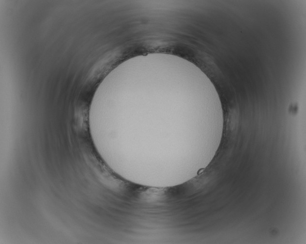 X0000114610138200911171043