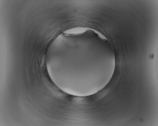 X0000114610139200911171043