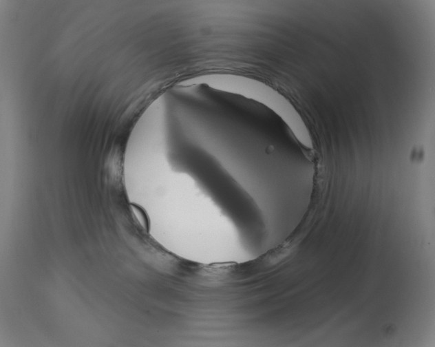 X0000114610143200911171043