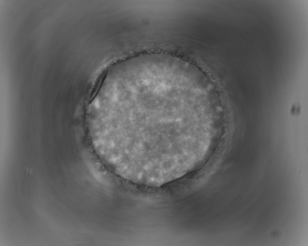 X0000114610144200911171043