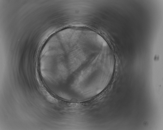 X0000114610145200911171043