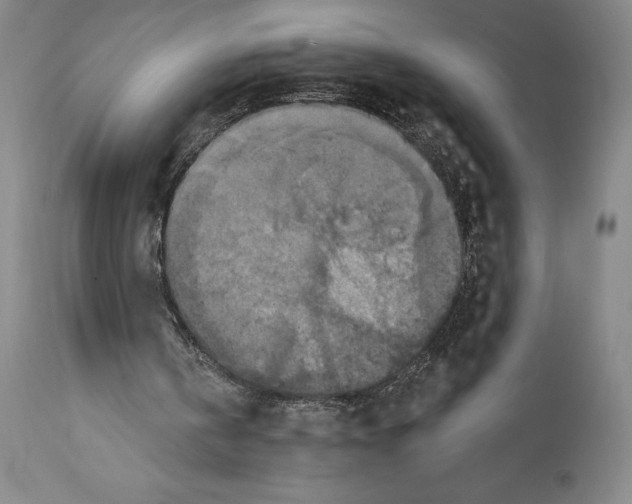 X0000114610146200911171043