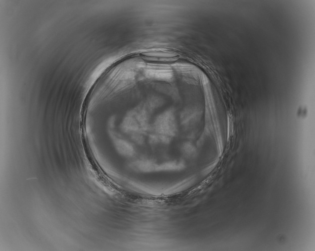 X0000114610147200911171043