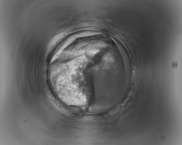 X0000114610149200911171043