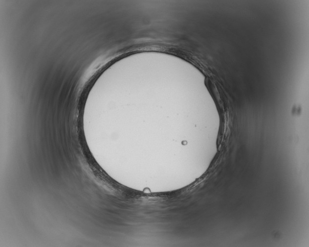 X0000114610150200911171043