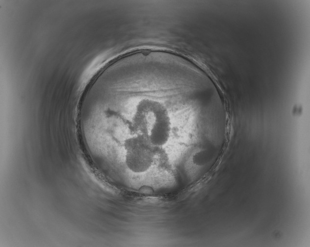 X0000114610151200911171043