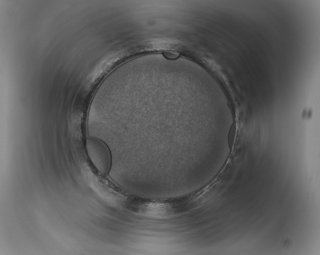 X0000114610154200911171043