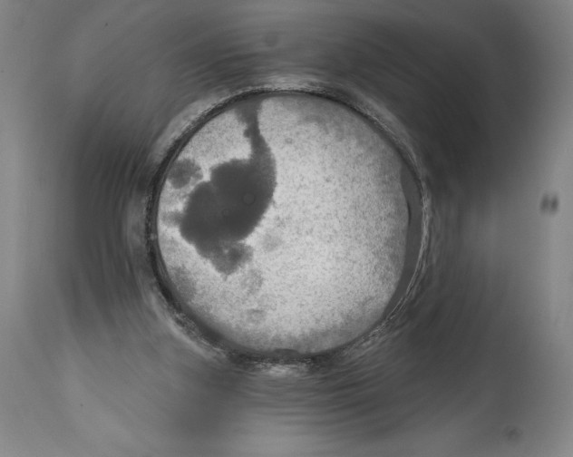 X0000114610155200911171043