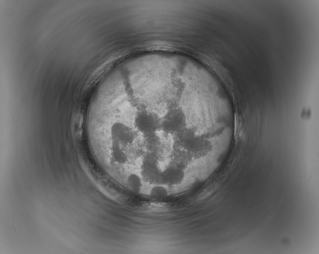 X0000114610157200911171043