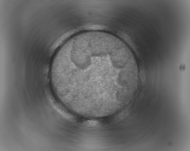 X0000114610159200911171043