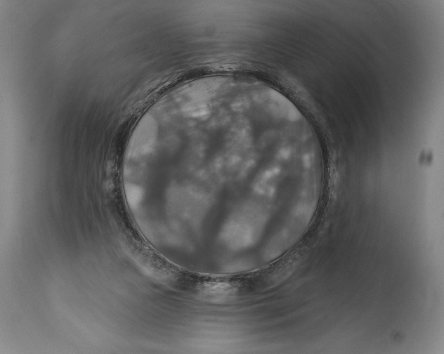 X0000114610161200911171043