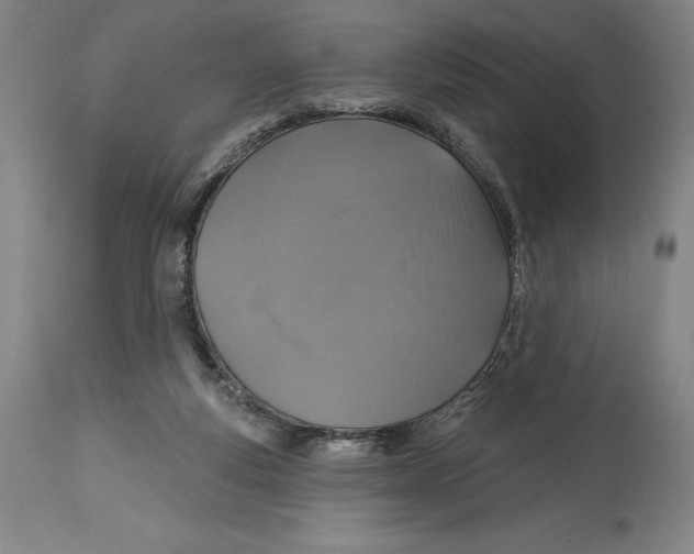 X0000114610163200911171043