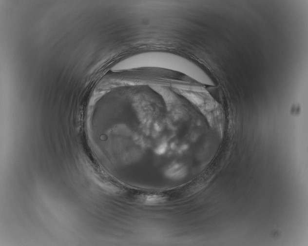 X0000114610165200911171043