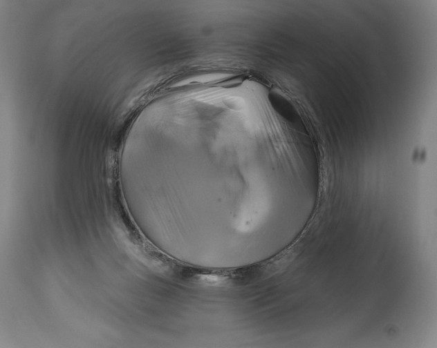 X0000114610167200911171043